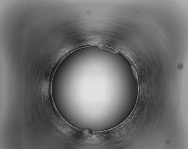 X0000099320297200805091048