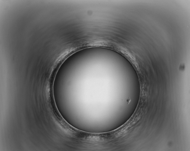 X0000099320298200805091048