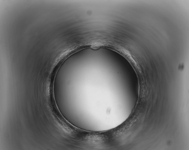 X0000099320299200805091048