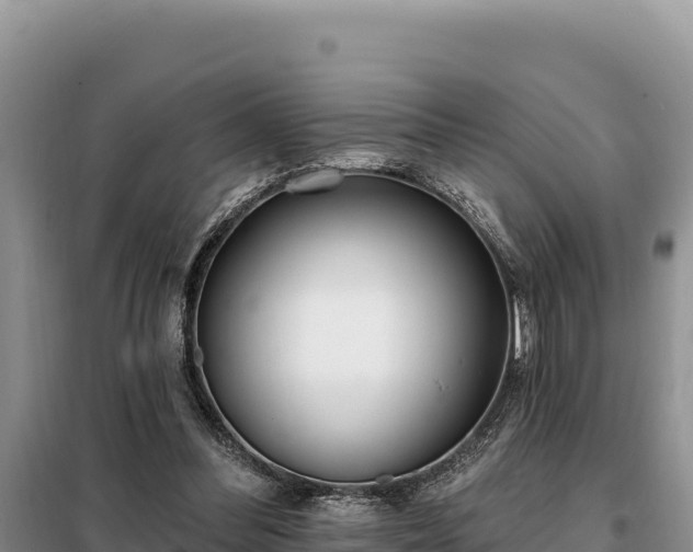 X0000099320300200805091048