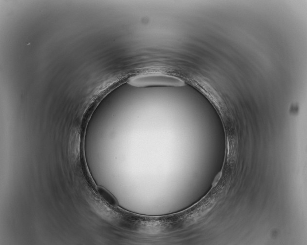 X0000099320301200805091048