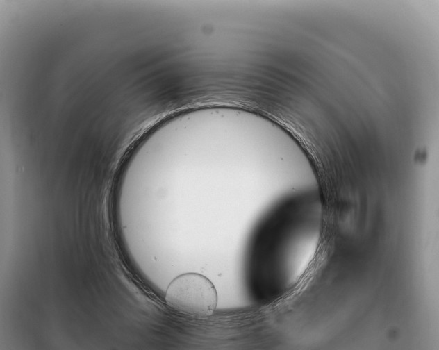 X0000099320302200805091048