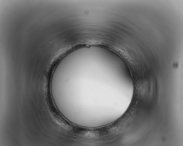 X0000099320303200805091048