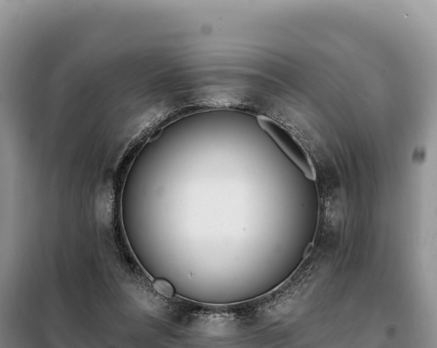 X0000099320304200805091048