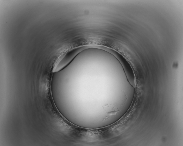 X0000099320305200805091048