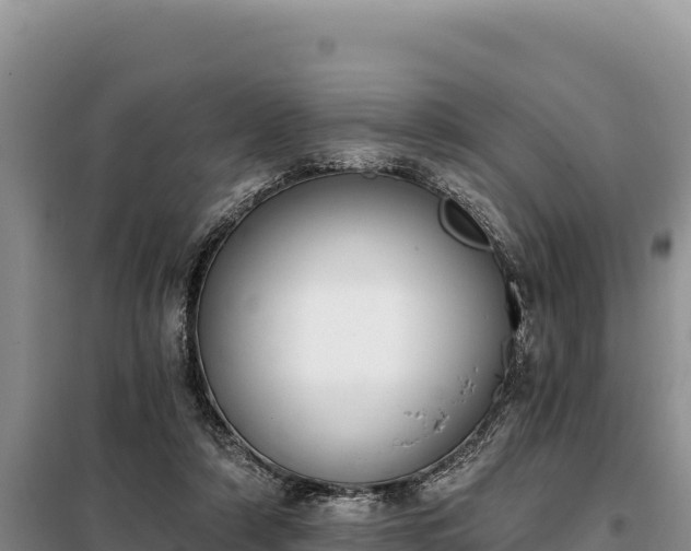 X0000099320306200805091048