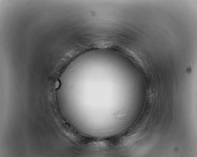 X0000099320307200805091047