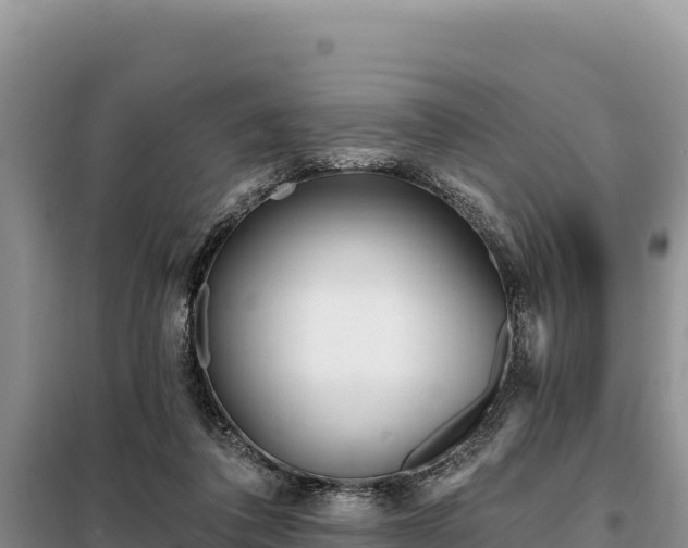 X0000099320308200805091047