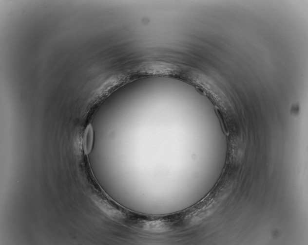 X0000099320309200805091047