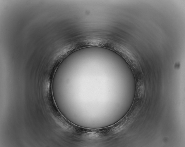 X0000099320310200805091047