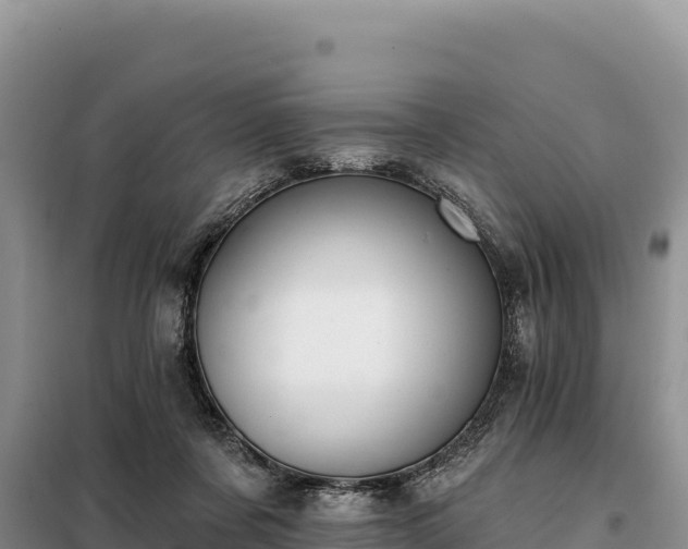 X0000099320311200805091047