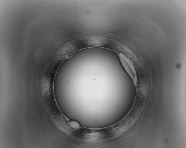 X0000099320312200805091047