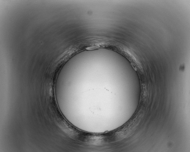 X0000099320313200805091047