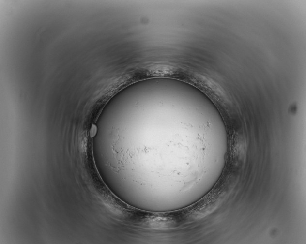 X0000099320315200805091047