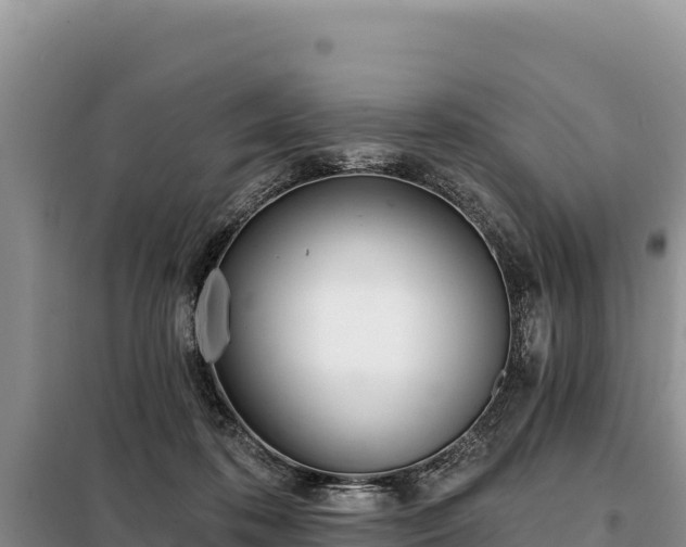 X0000099320316200805091047