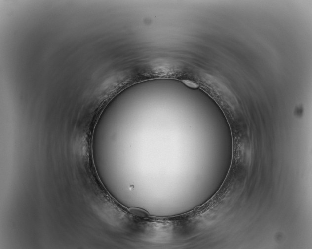 X0000099320317200805091047