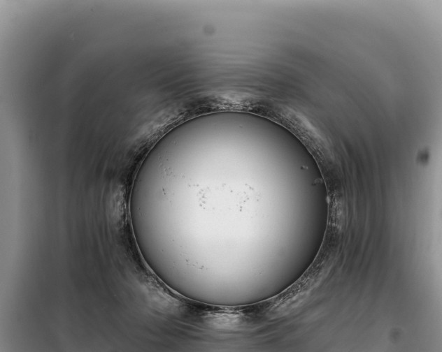 X0000099320318200805091047