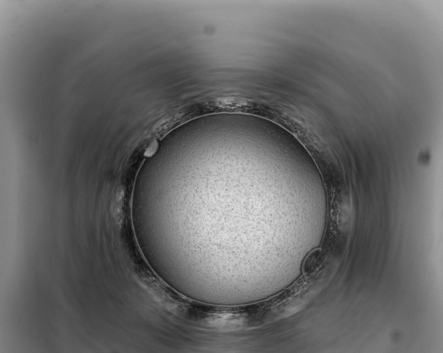 X0000099320319200805091047