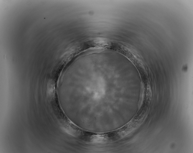 X0000099320320200805091047