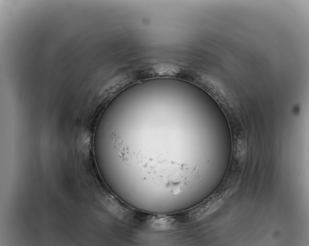 X0000099320321200805091047