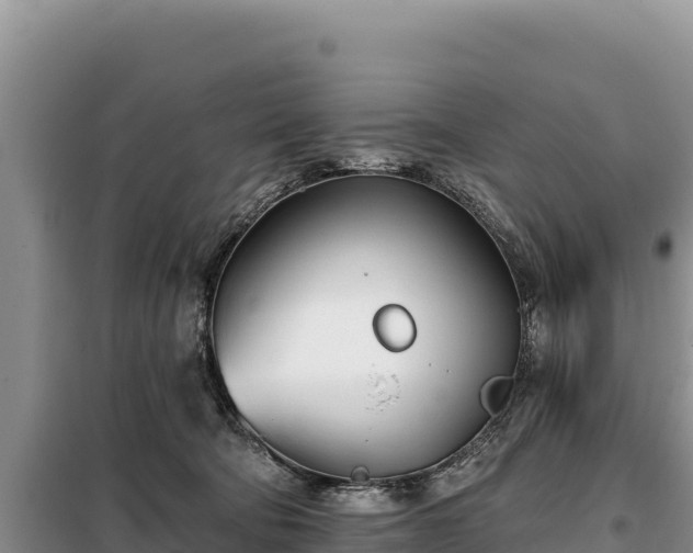 X0000099320322200805091047