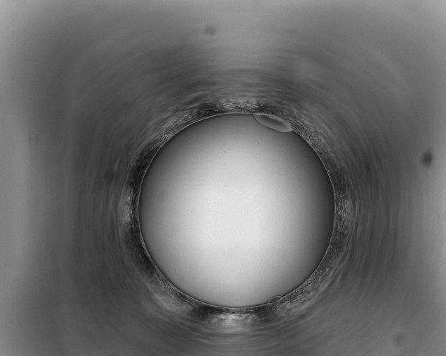 X0000099320323200805091047