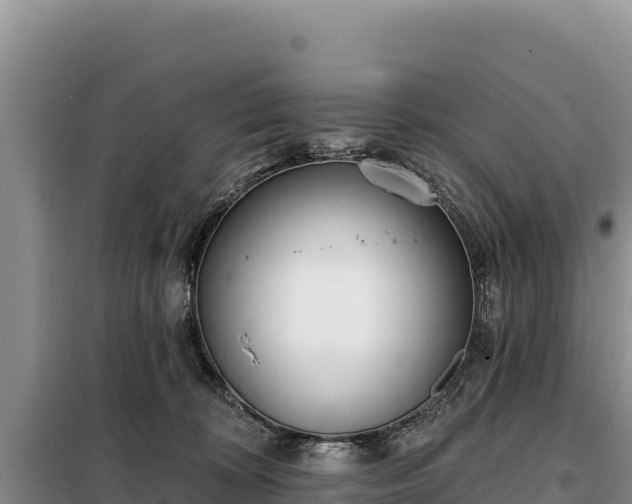 X0000099320324200805091047