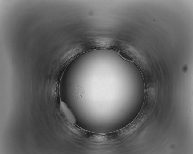 X0000099320325200805091047