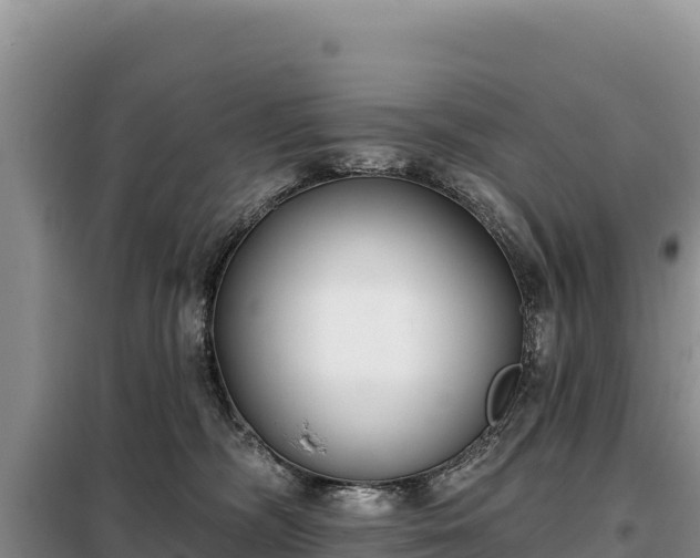 X0000099320326200805091047