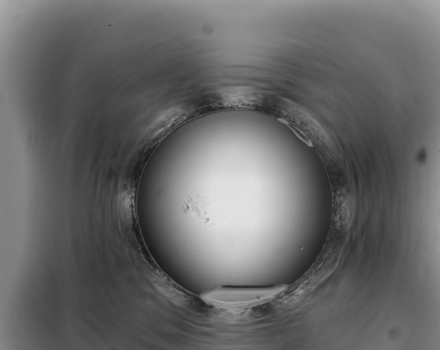 X0000099320329200805091047