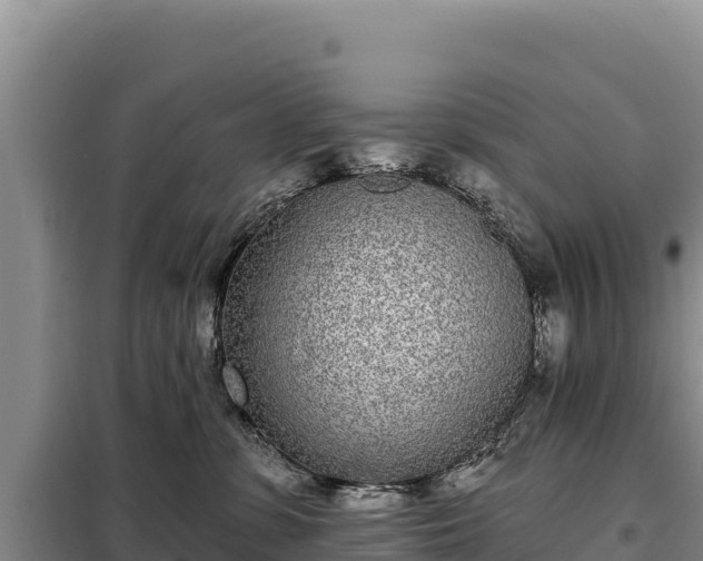 X0000099320331200805091047