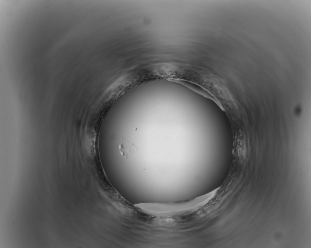 X0000099320332200805091047