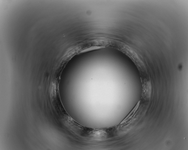 X0000099320333200805091047