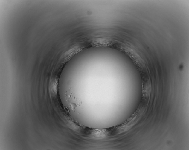 X0000099320334200805091047