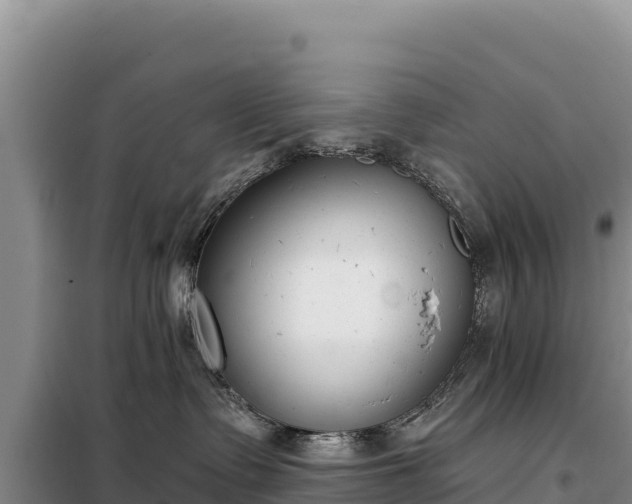 X0000099320335200805091047