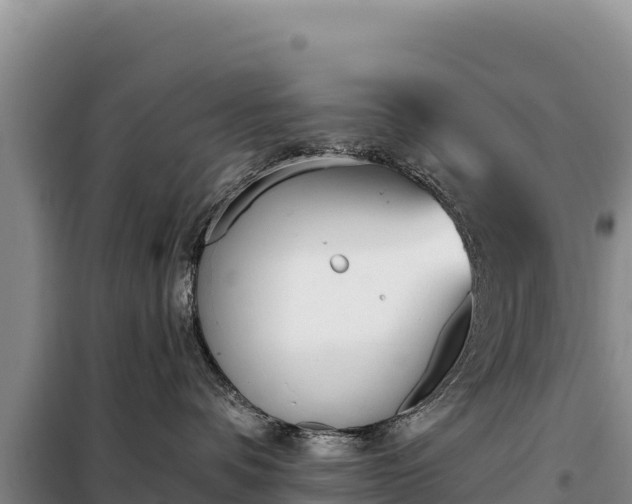 X0000099320336200805091047