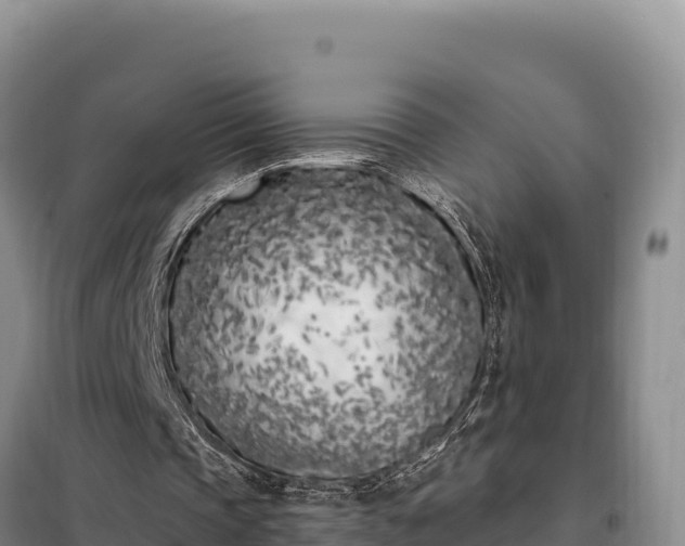 X0000099320337200805091046