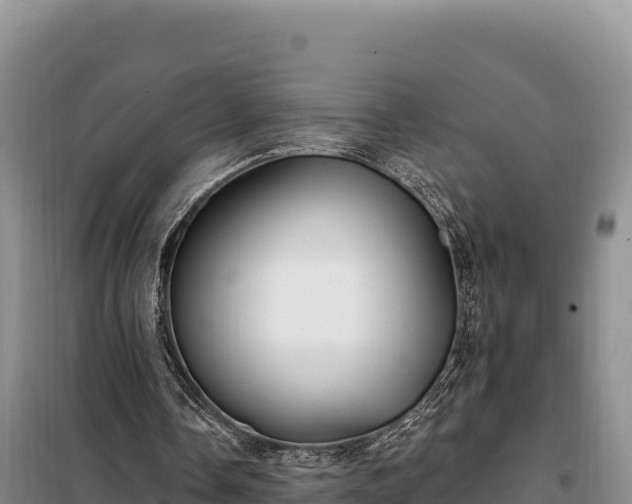 X0000099320338200805091046