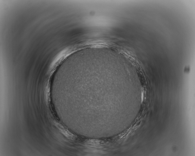 X0000099320339200805091046