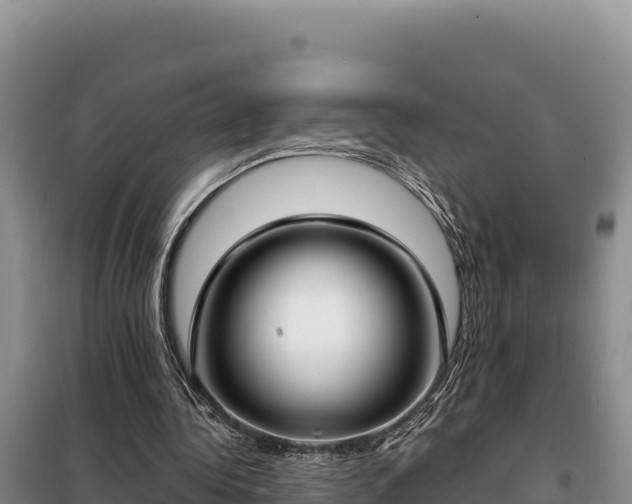 X0000099320340200805091046