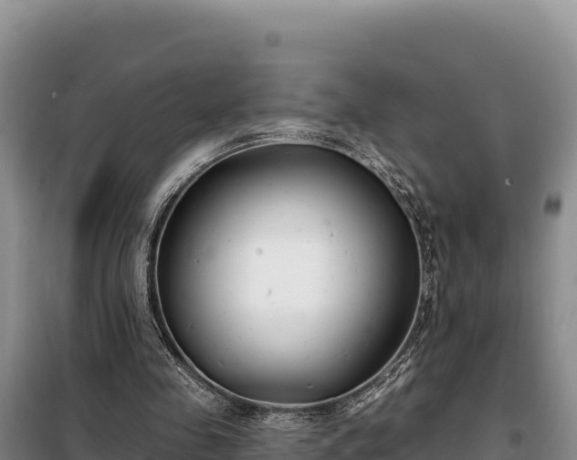 X0000099320341200805091046