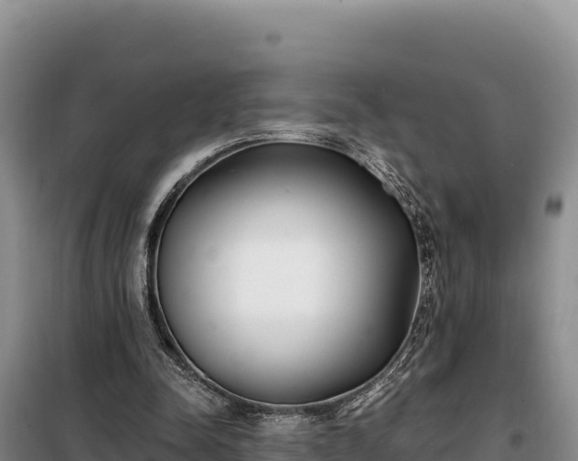 X0000099320342200805091046