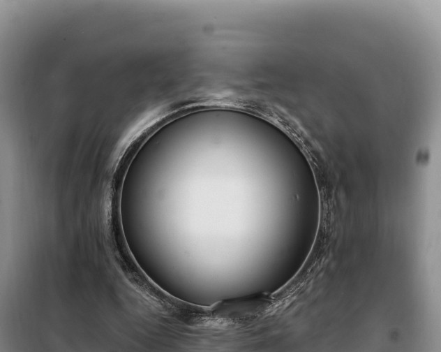 X0000099320344200805091046