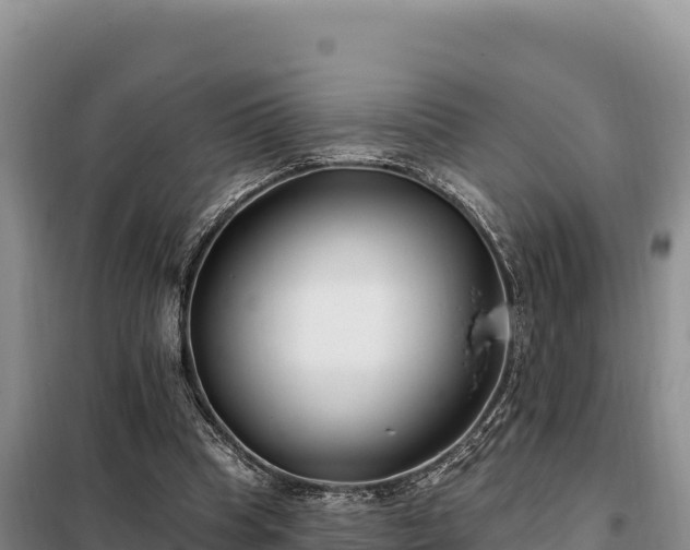 X0000099320345200805091046