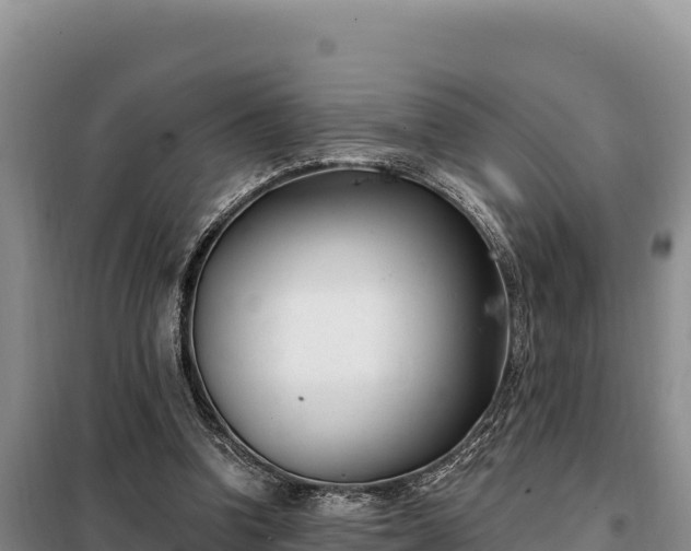 X0000099320346200805091046