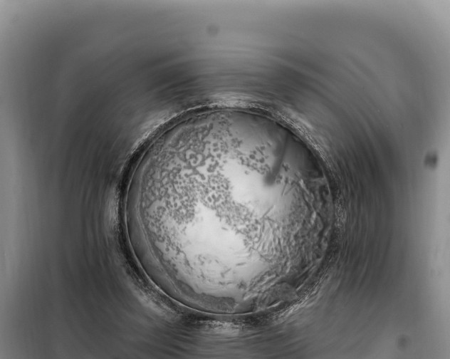 X0000099320347200805091046