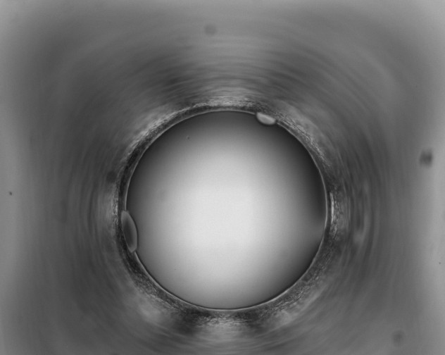 X0000099320348200805091046