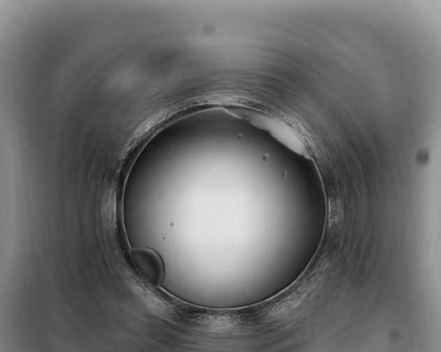 X0000099320349200805091046