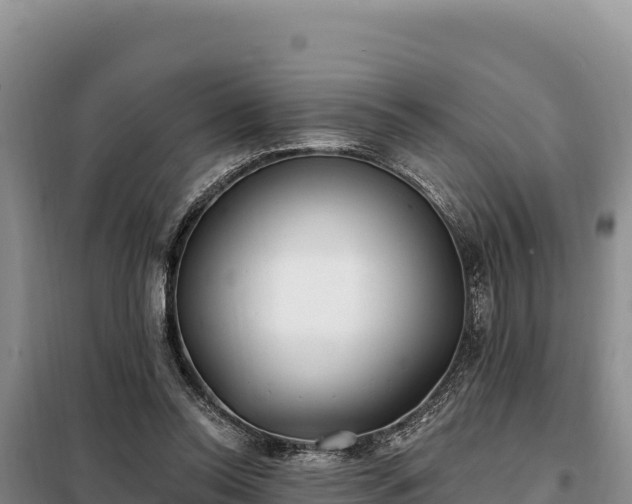 X0000099320350200805091046