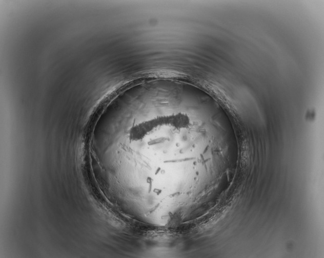 X0000099320351200805091046